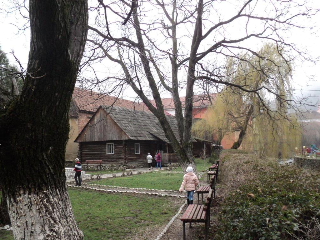 Pensiunea Irina Tilisca Exterior photo